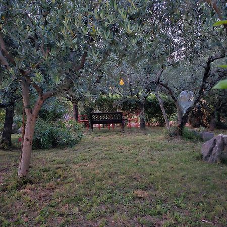 Apartmani Puric マリンスカ エクステリア 写真
