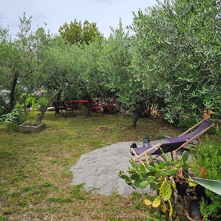 Apartmani Puric マリンスカ エクステリア 写真
