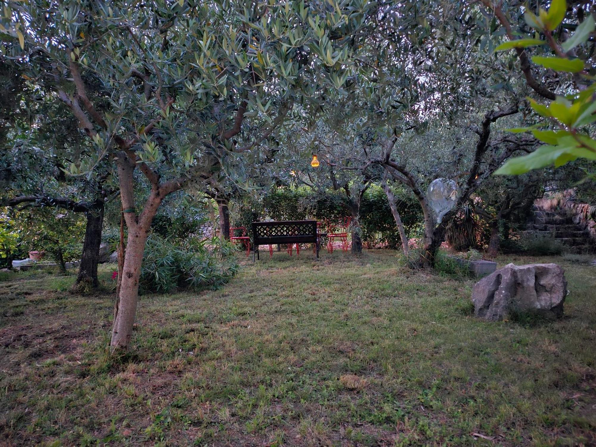 Apartmani Puric マリンスカ エクステリア 写真